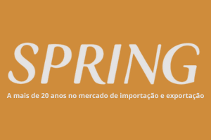 Consultoria completa da sua remessa